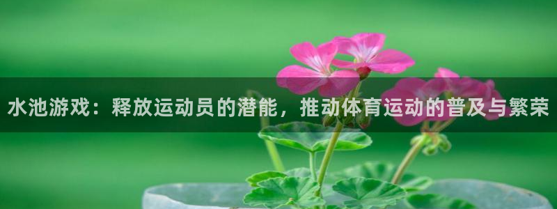 水池游戏：释放运动员的潜能，推动体育运动的普及与繁荣
