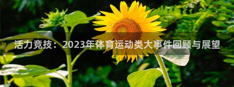 活力竞技：2023年体育运动类大事件回顾与展望