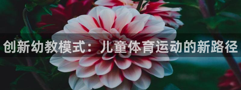 创新幼教模式：儿童体育运动的新路径