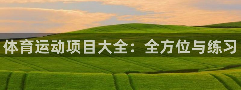 体育运动项目大全：全方位与练习
