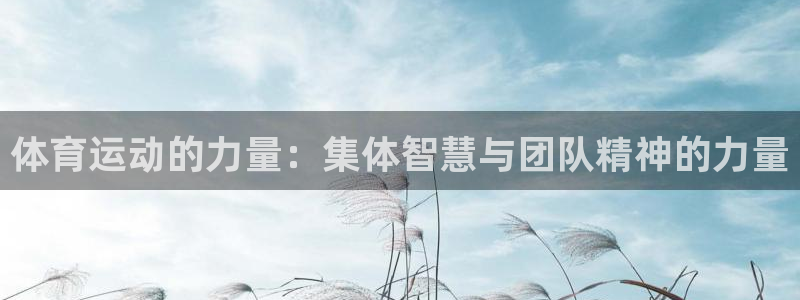 体育运动的力量：集体智慧与团队精神的力量