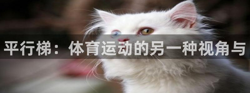 平行梯：体育运动的另一种视角与