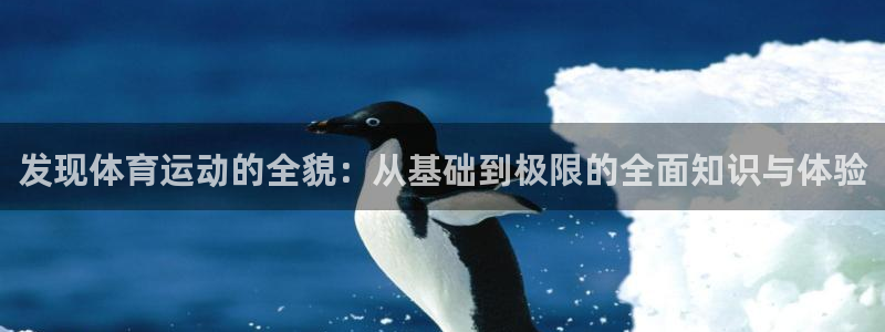 发现体育运动的全貌：从基础到极限的全面知识与体验